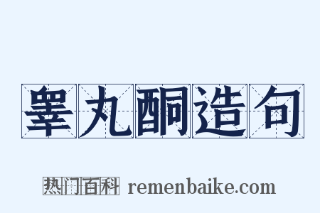 睾丸酮造句是什么意思的图片